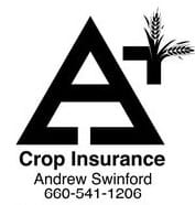 Swinford